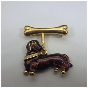 Chic Brown and Gold Dog Apparel